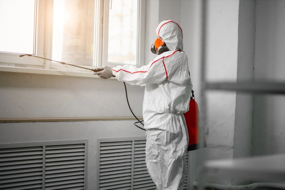 Professional mold remediation services in Crab Orchard, KY